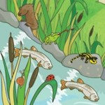 TEXTBOOK, forest, Nature, and Animals