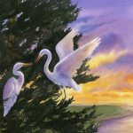 nature, sunset, and egret