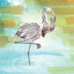 flamingos, birds, and picky eaters