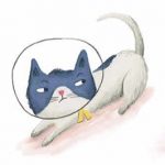 #cat, angry, and character emotion