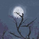 birds, Full Moon, At Night, and branches