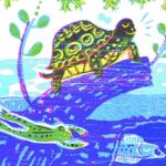ecology, Turtle, wetlands, moose, habitat, and Animal Habitat