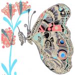 butterfly, butterfly garden, pollinator, pollinator sanctuary, caterpillar, wildflowers, and meadow