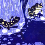 salamanders, Frogs, spotted salamander, and Science and nature