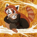 red panda