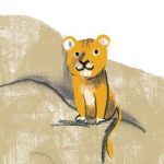 board book;