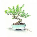 bonsai and childrens books