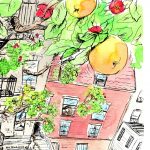 trees, growing, Brooklyn, children's gardening, and childrens book