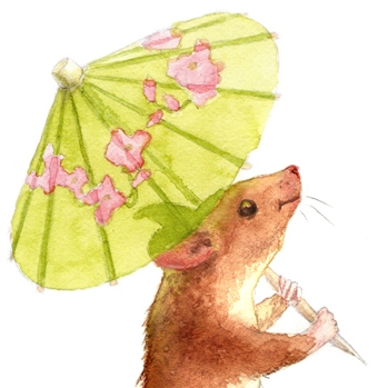 illustrator photo