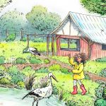 stork, Conservation, appreciating nature, and Children's educational