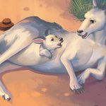 Animal and Cute Animals