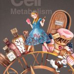 Editorial Illustration, alice in wonderland, and diabetes